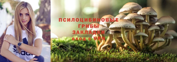герыч Арсеньев