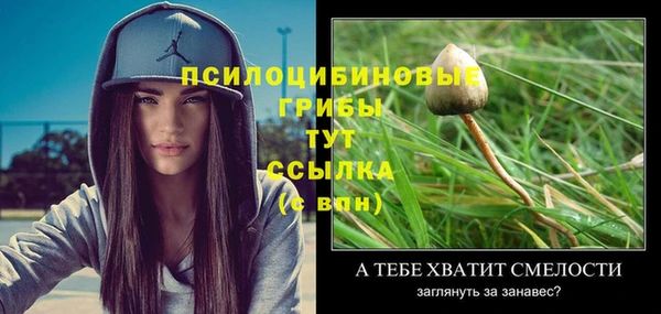 МДПВ Снежногорск