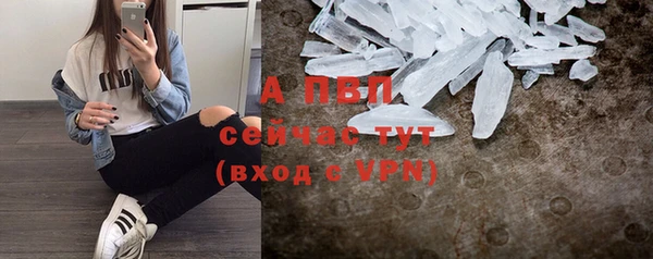 PSILOCYBIN Снежинск