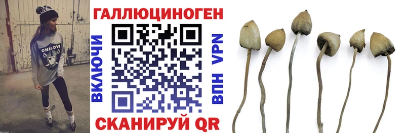 Псилоцибиновые грибы Magic Shrooms Спасск-Дальний